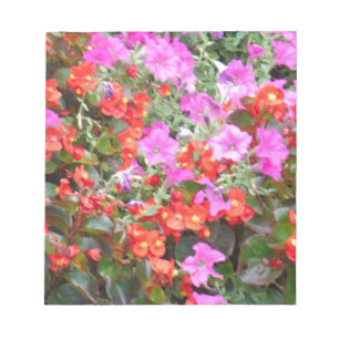 Bloc De Notas Petunia rosa y geranios rojos