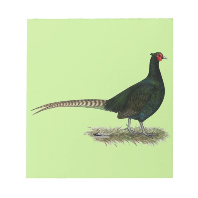 Bloc De Notas Pheasant Black Roooster (Frente)