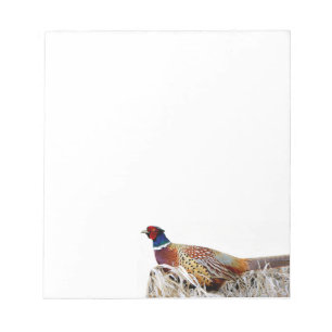 Bloc De Notas Pheasant Pheasant Photo Stationery Note Pad