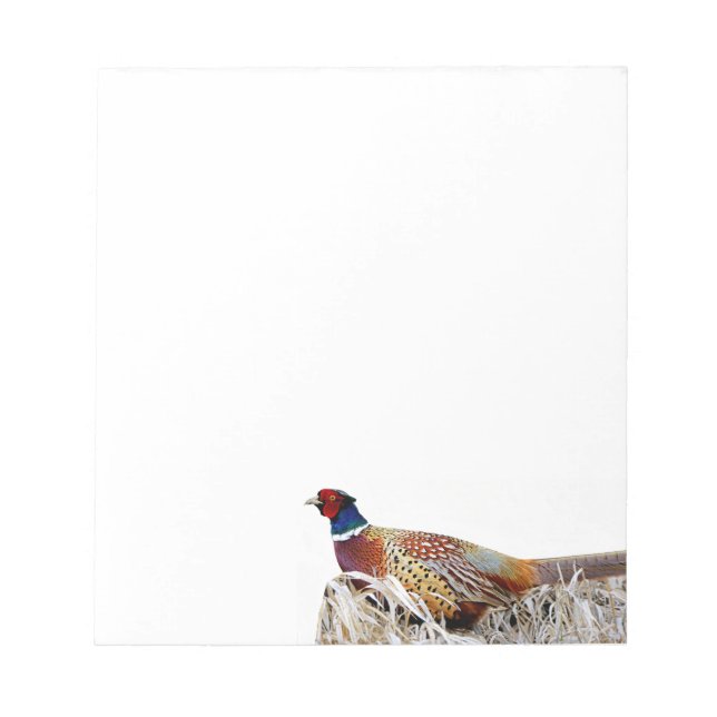 Bloc De Notas Pheasant Pheasant Photo Stationery Note Pad (Frente)
