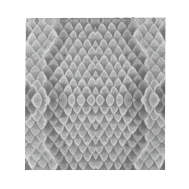 Bloc De Notas Piel de serpiente gris (Frente)