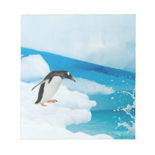 Bloc De Notas pingüino de gentoo, Pygoscelis Papua, saltando