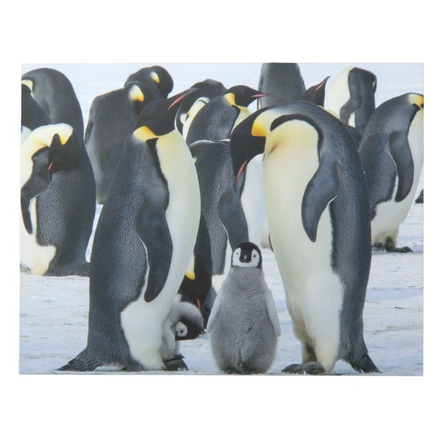 Bloc De Notas Pingüinos emperadores (Frente)