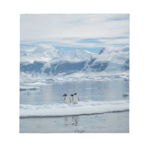 Bloc De Notas Pingüinos en un iceberg