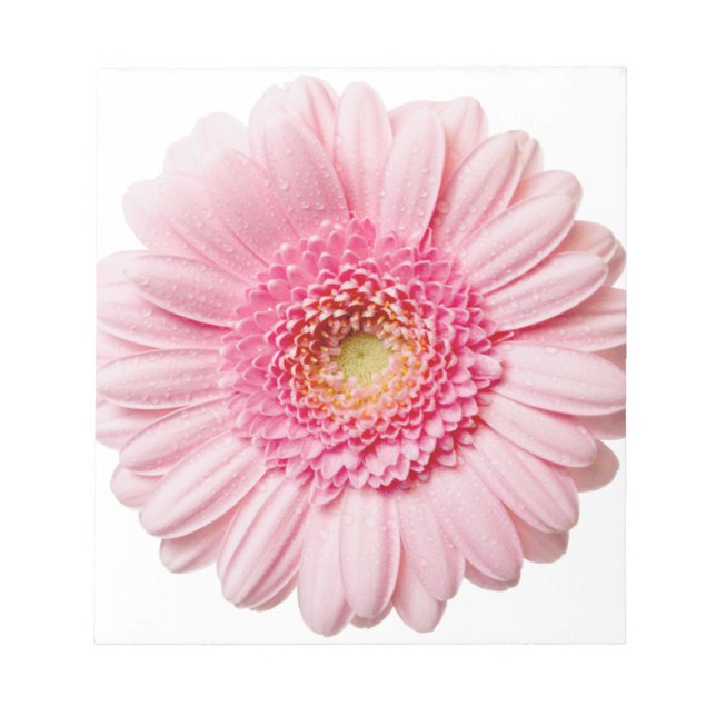 Bloc De Notas Pink Gerbera Daisy (Frente)