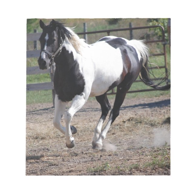Bloc De Notas Pinto Paint Horse (Frente)