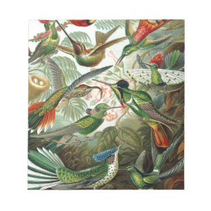 Bloc De Notas pintura clásica de la fauna silvestre de comingbir