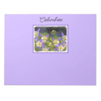 Pintura Colorado Blue Columbine - Arte Original