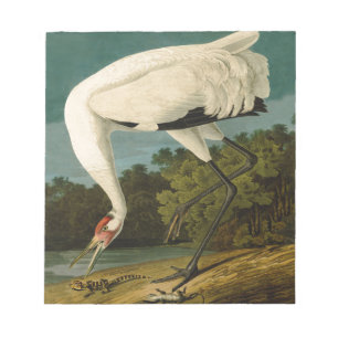 Bloc De Notas Pintura de pájaro de Crane Audubon