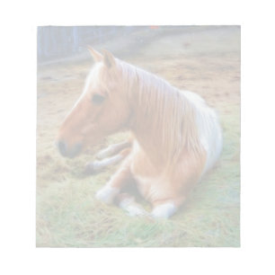 Bloc De Notas Pintura de reposo de caballos Palomino Pinto