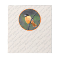 Pintura Oriole - Arte original de aves