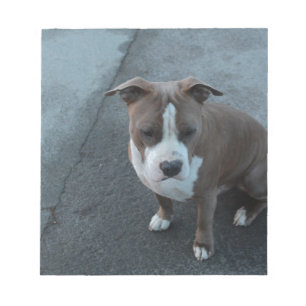 Bloc De Notas Pitbull blanco y gris sobre concreto