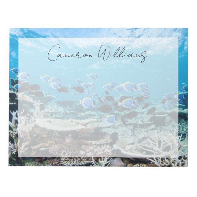 Bloc De Notas Playas tropicales | Sturgeon Entre Coral (Frente)