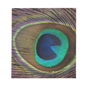 Bloc De Notas plumas de pavo real