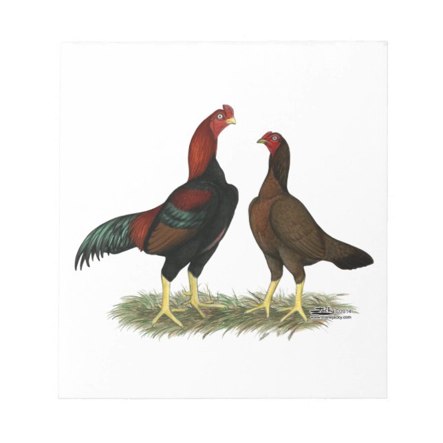 Bloc De Notas Pollos Aseel Black Red (Frente)