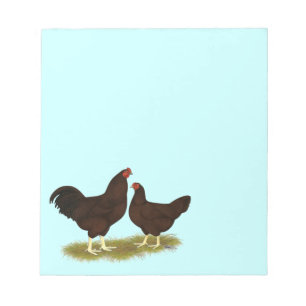 Bloc De Notas Pollos de Buckeye