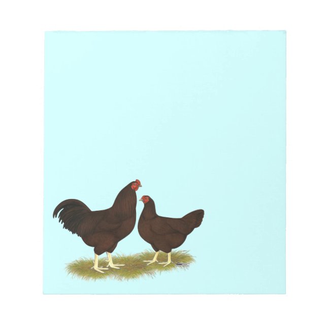 Bloc De Notas Pollos de Buckeye (Frente)