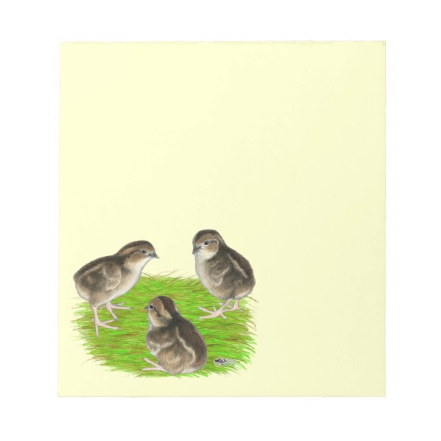 Bloc De Notas Polluelos de codorniz Bobwhite (Frente)
