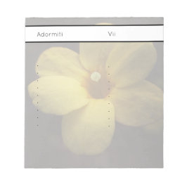 Bloc De Notas Pomelnic