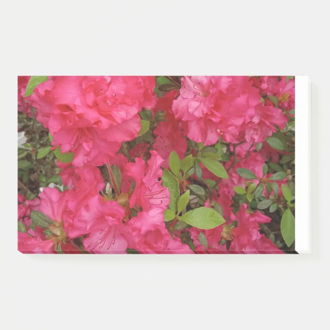 Bloc de notas Post-it (Anverso)