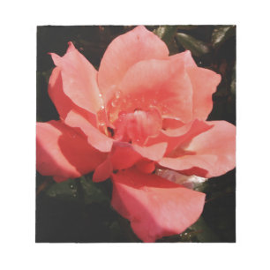 Bloc De Notas Pretty Peach Pink Rose floral