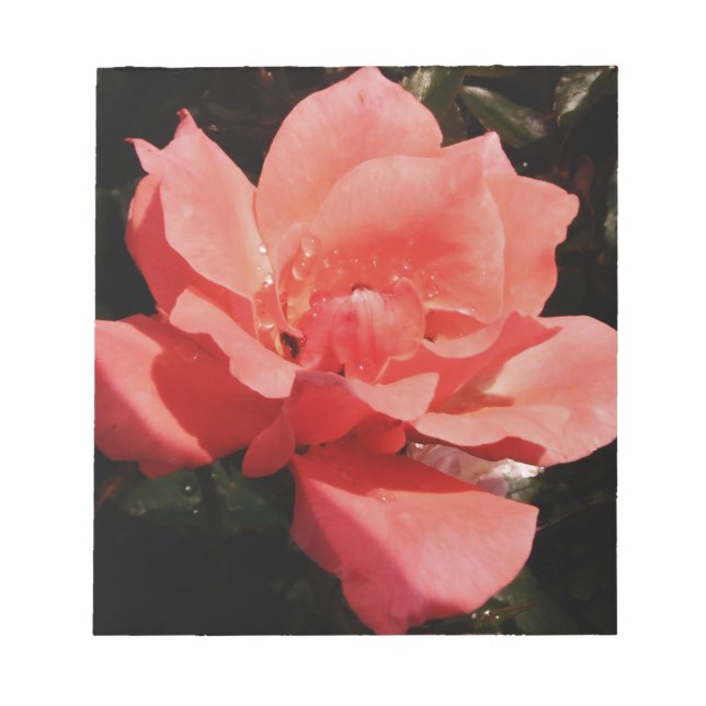 Bloc De Notas Pretty Peach Pink Rose floral (Frente)