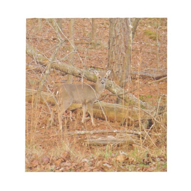 Bloc De Notas Primer invierno de Baby Deer (Frente)