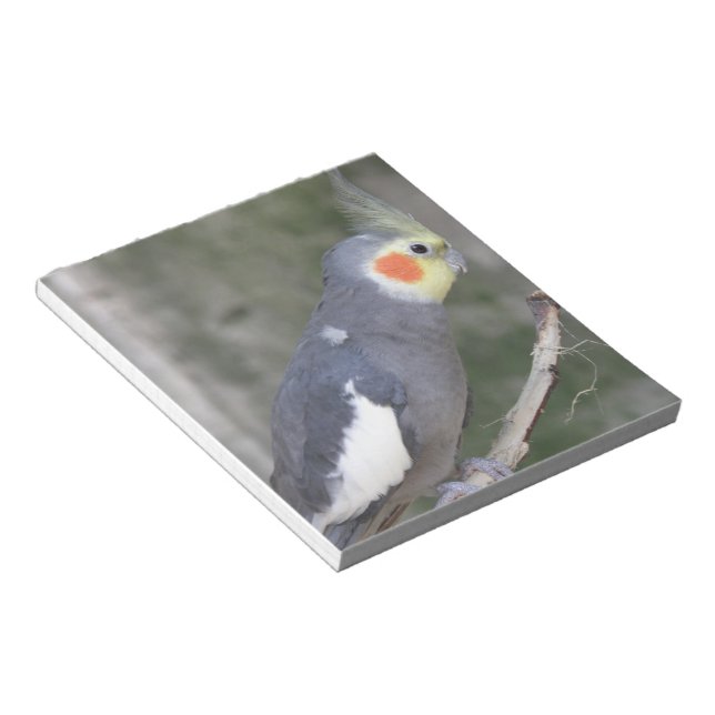 Bloc De Notas Producto personalizar (Lado Derecho)