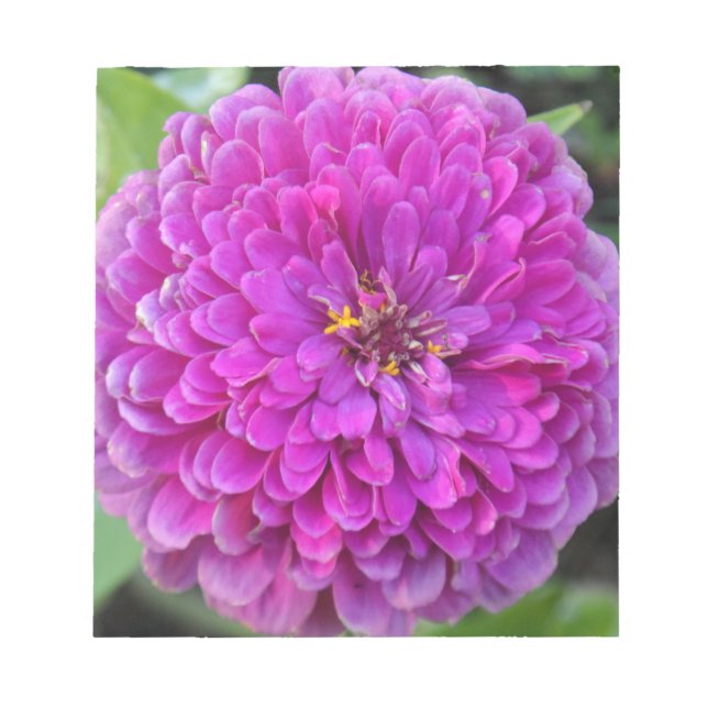 Bloc De Notas Purple Dahlia (Frente)