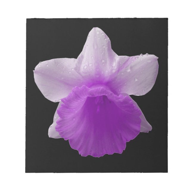 Bloc de notas púrpura Daffodil (Frente)