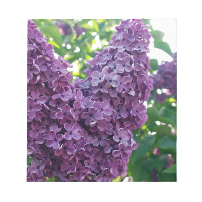 Bloc De Notas Púrpura Lilacs Notepad (Frente)