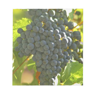 Bloc De Notas racimo de uva Cabernet Sauvignon en el Chateau