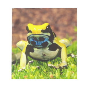 Bloc De Notas Rana venenosa tinción, Dendrobates tinctorius,