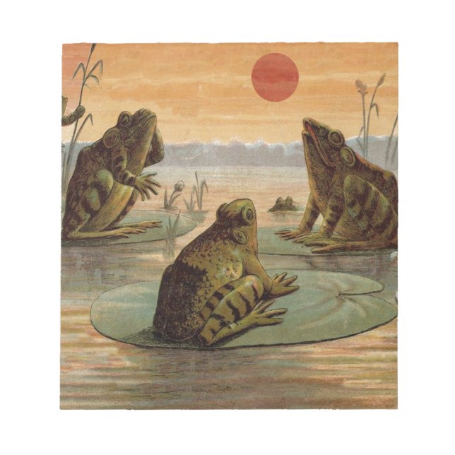 Bloc De Notas Ranas Lily Pads Moon Ilustracion (Frente)