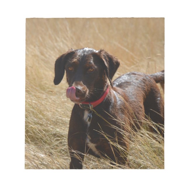 Bloc De Notas Recuperador de Labrador de chocolate marrón (Frente)