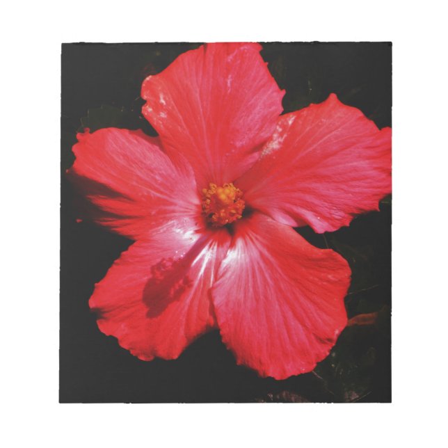 Bloc De Notas Red Hibiscus (Frente)