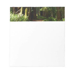 Bloc De Notas Redwoods y helechos en el Parque Nacional Redwood