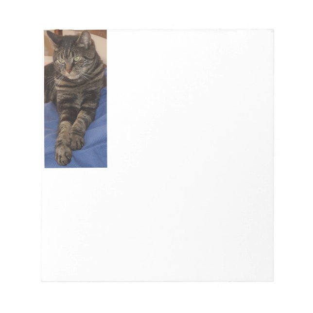 Bloc De Notas Regal Dave 40 Página Notepad (Frente)