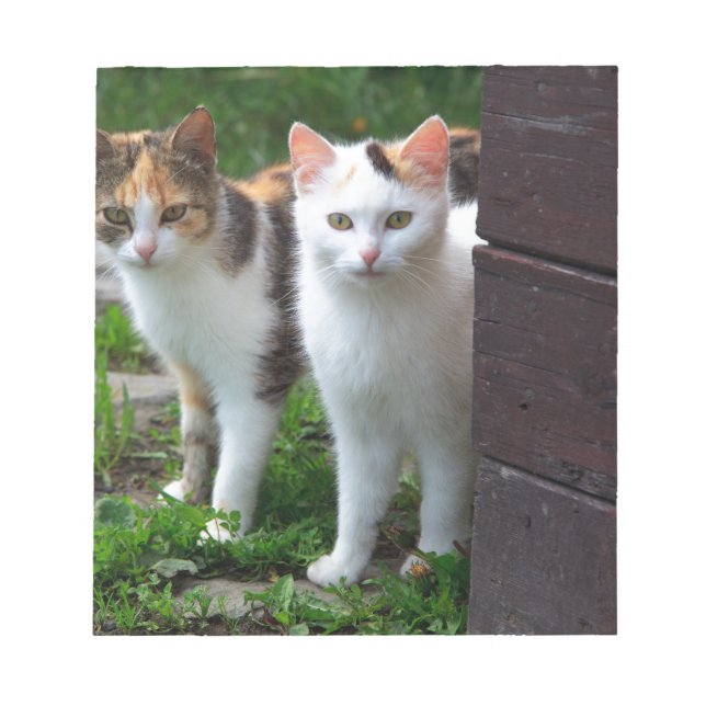 Bloc De Notas Reproducción de gatos (Frente)
