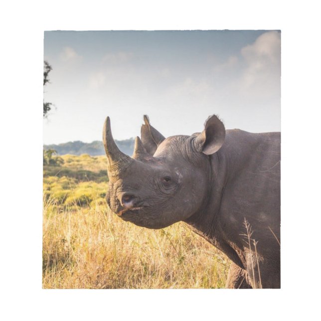 Bloc De Notas Rhino Notepad (Frente)