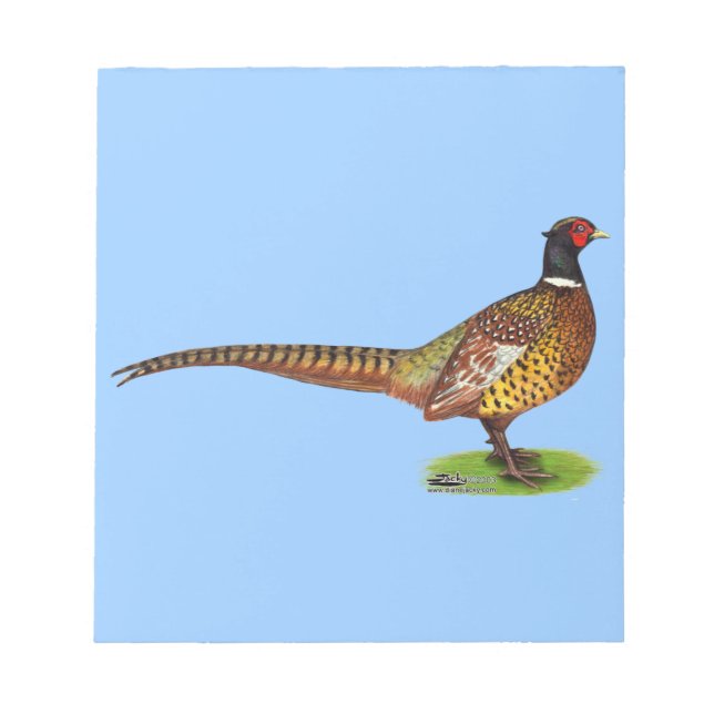 Bloc De Notas Ringneck Pheasant Rooster (Frente)