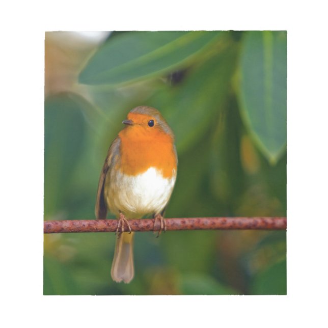 Bloc De Notas Robin navidades (Frente)