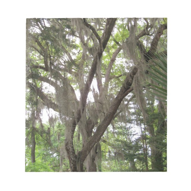 Bloc De Notas roble con musgo español ondeando en las ramas (Frente)