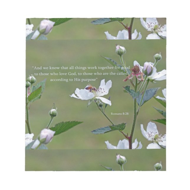 Bloc De Notas Romanos 8:28 (Frente)