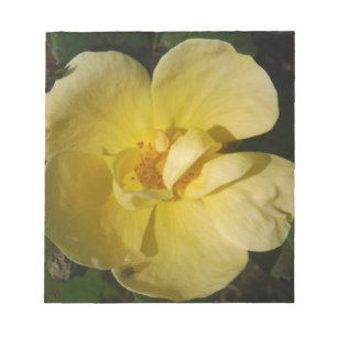 Bloc De Notas Rosa amarillo salvaje