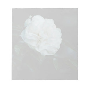 Bloc De Notas Rosa blanca