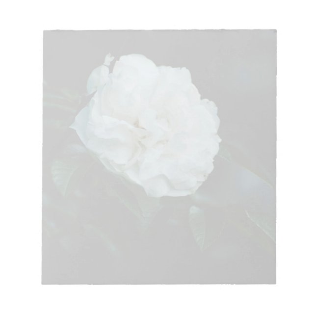 Bloc De Notas Rosa blanca (Frente)