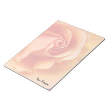 Rosa Blossom / Apricot Peach / Close-Up Photo