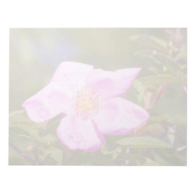 Bloc De Notas Rosa Briar (Frente)