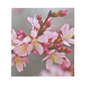Bloc De Notas Rosa Contra Un Cielo Gris Flor De Cerezo Japonesa